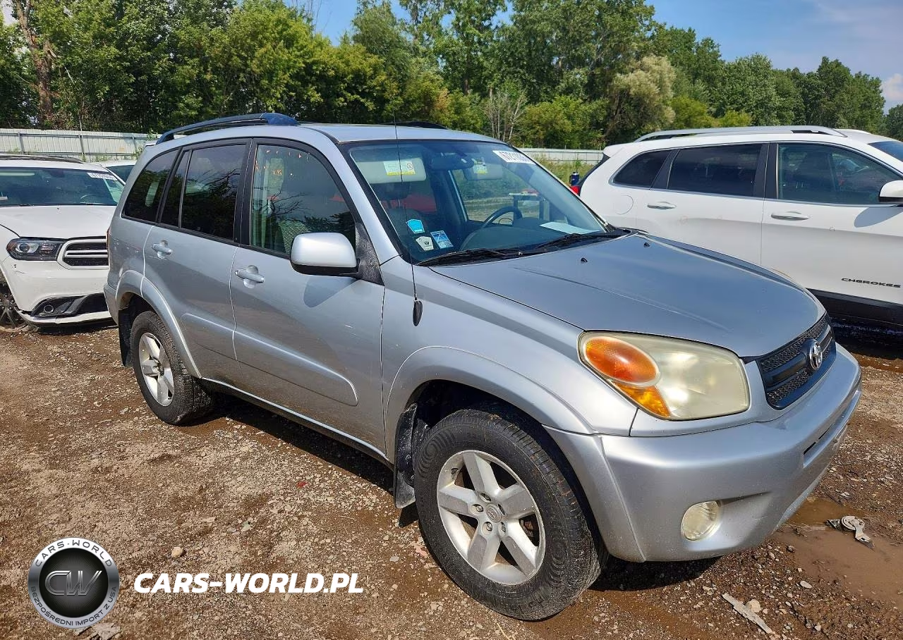 2004 Toyota Rav4 Base VIN:JTEHD20V346009773 - 4