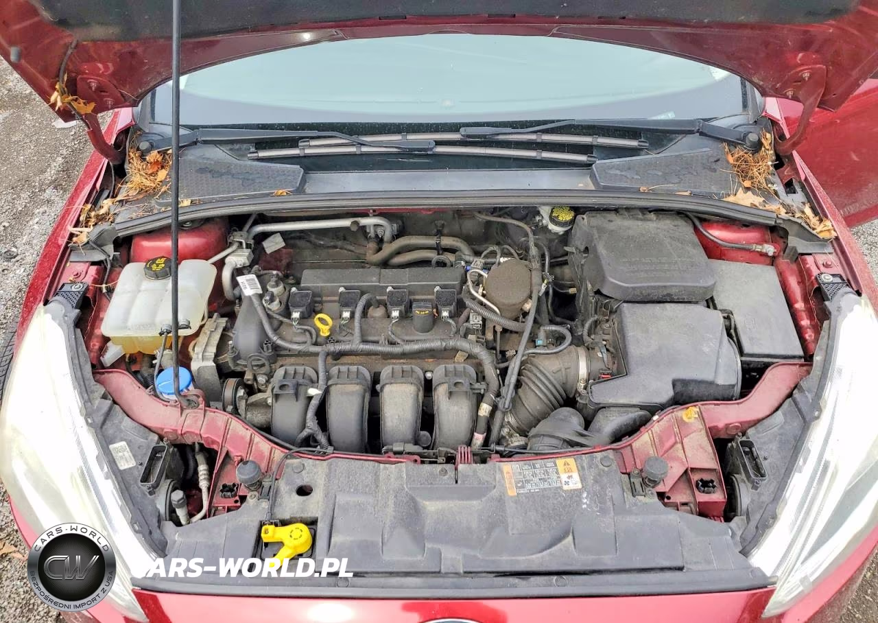 2015 Ford Focus Titanium VIN:1FADP3J24FL273681 - 11