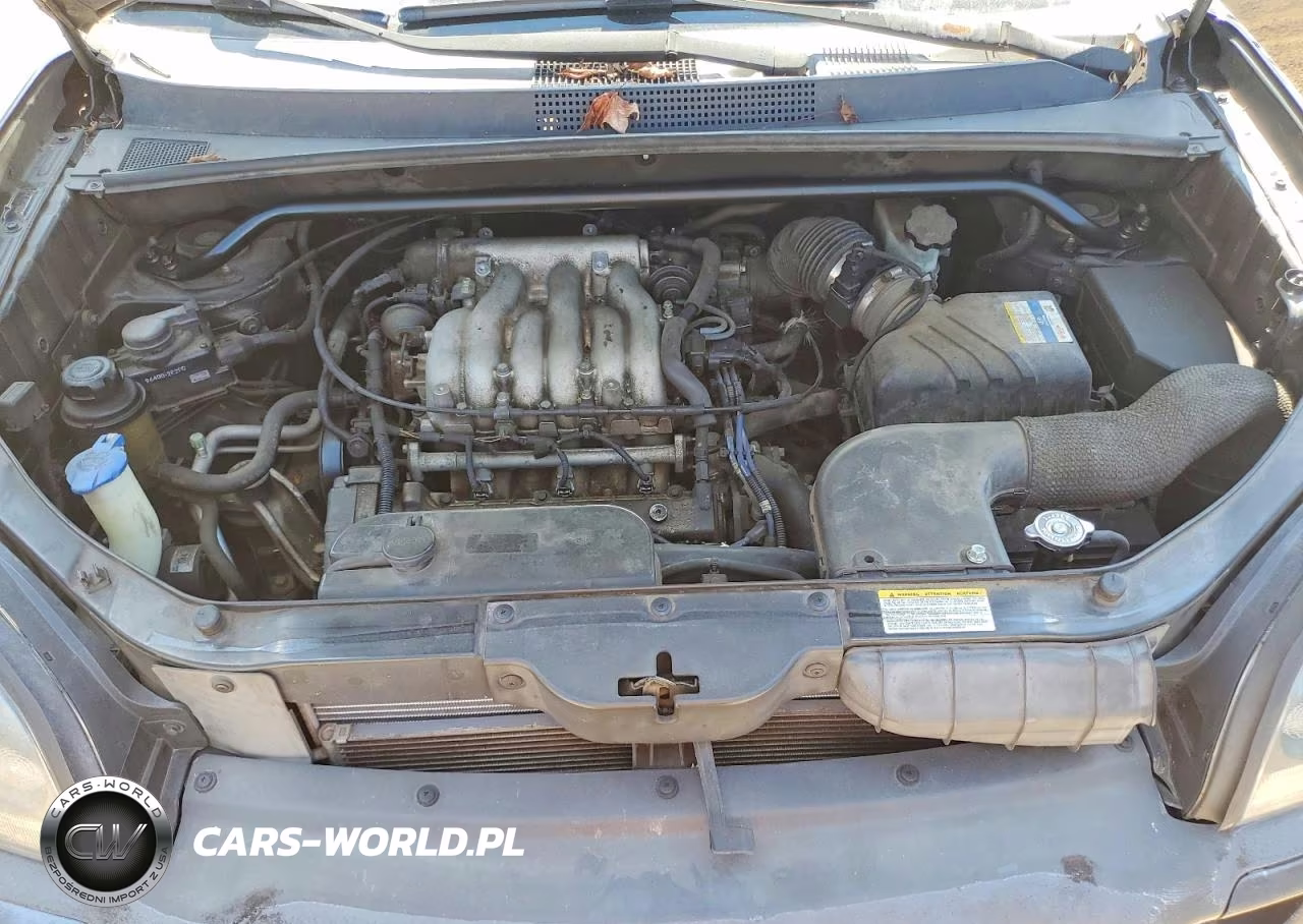 2006 Hyundai Tucson Gls VIN:KM8JN12D06U407289 - 12