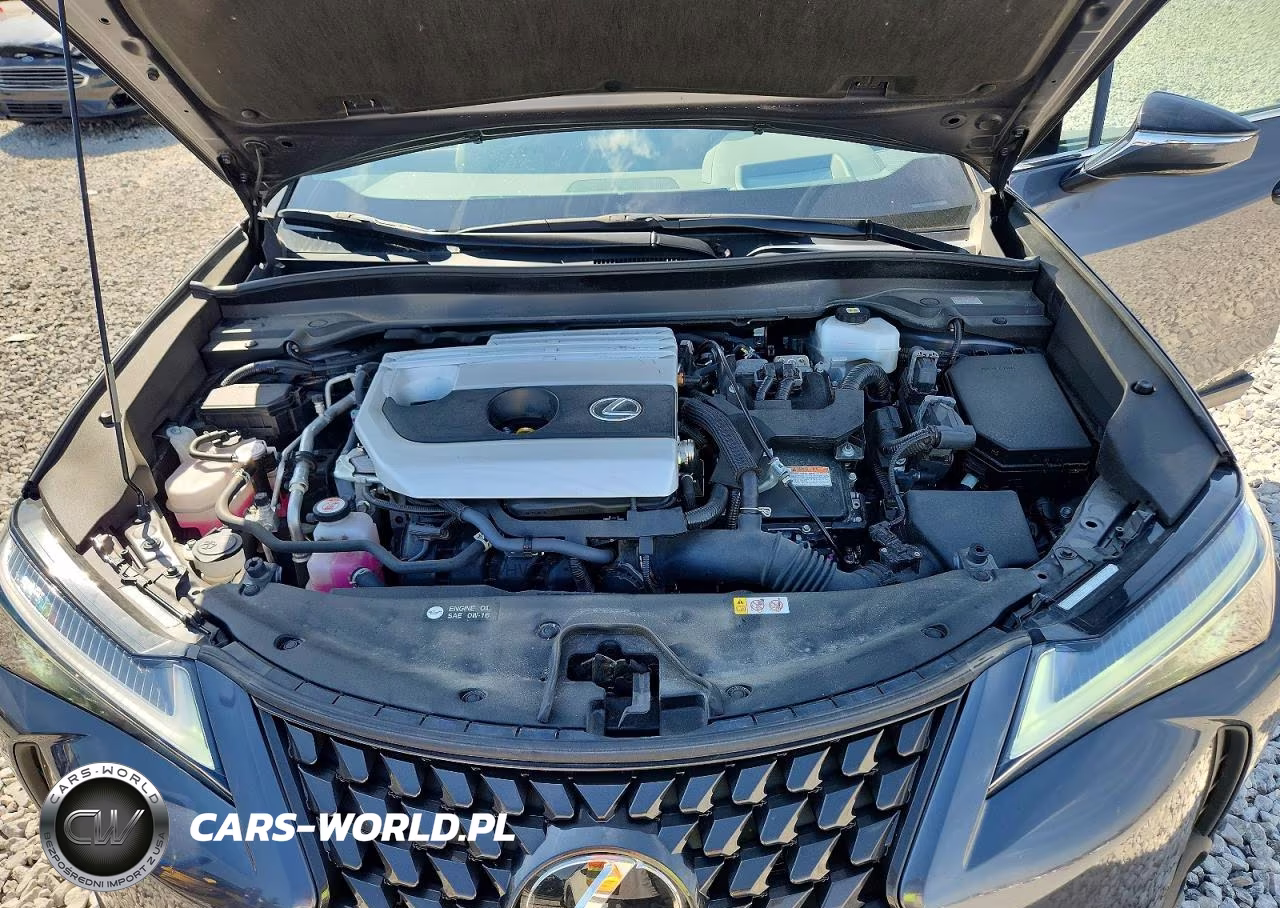 2023 Lexus Ux 250H Premium VIN:JTHP9JBH7P2065342 - 11