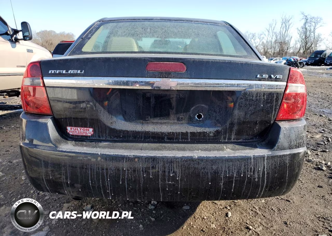 2005 Chevrolet Malibu Ls VIN:1G1ZT52885F151132 - 6