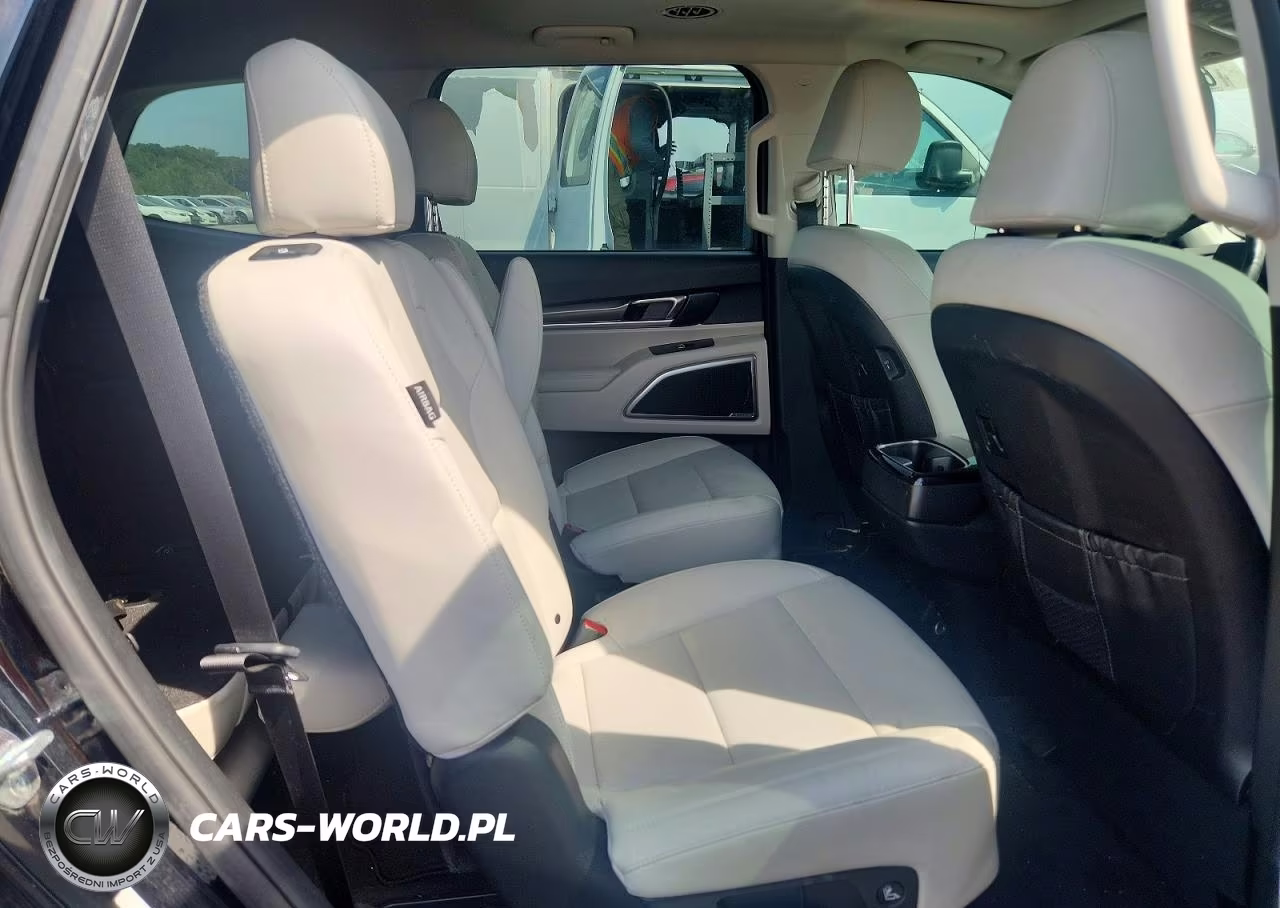 2023 Kia Telluride S VIN:5XYP6DGC0PG381812 - 10