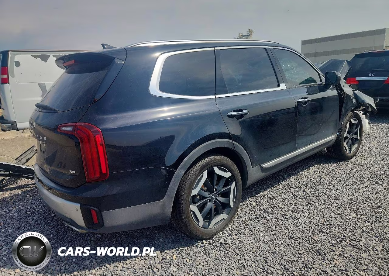 2023 Kia Telluride S VIN:5XYP6DGC0PG381812 - 3