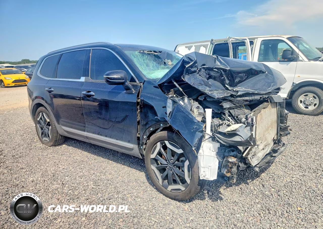 2023 Kia Telluride S VIN:5XYP6DGC0PG381812 - 4