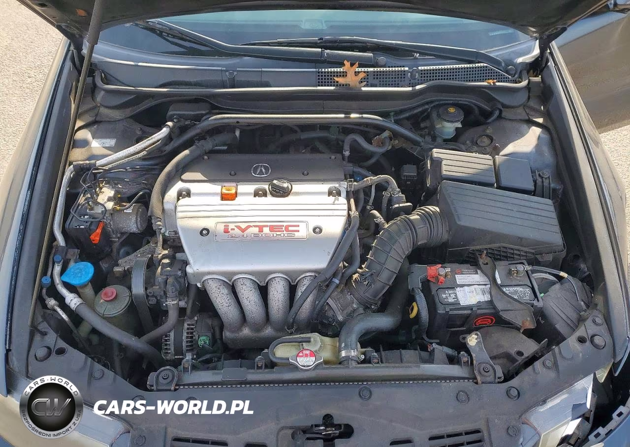 2006 Acur Tsx VIN:JH4CL96846C011093 - 19