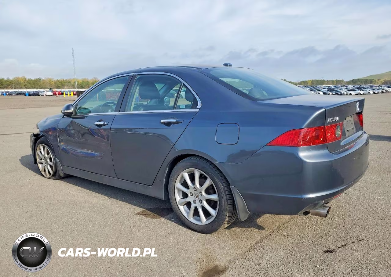 2006 Acur Tsx VIN:JH4CL96846C011093 - 3