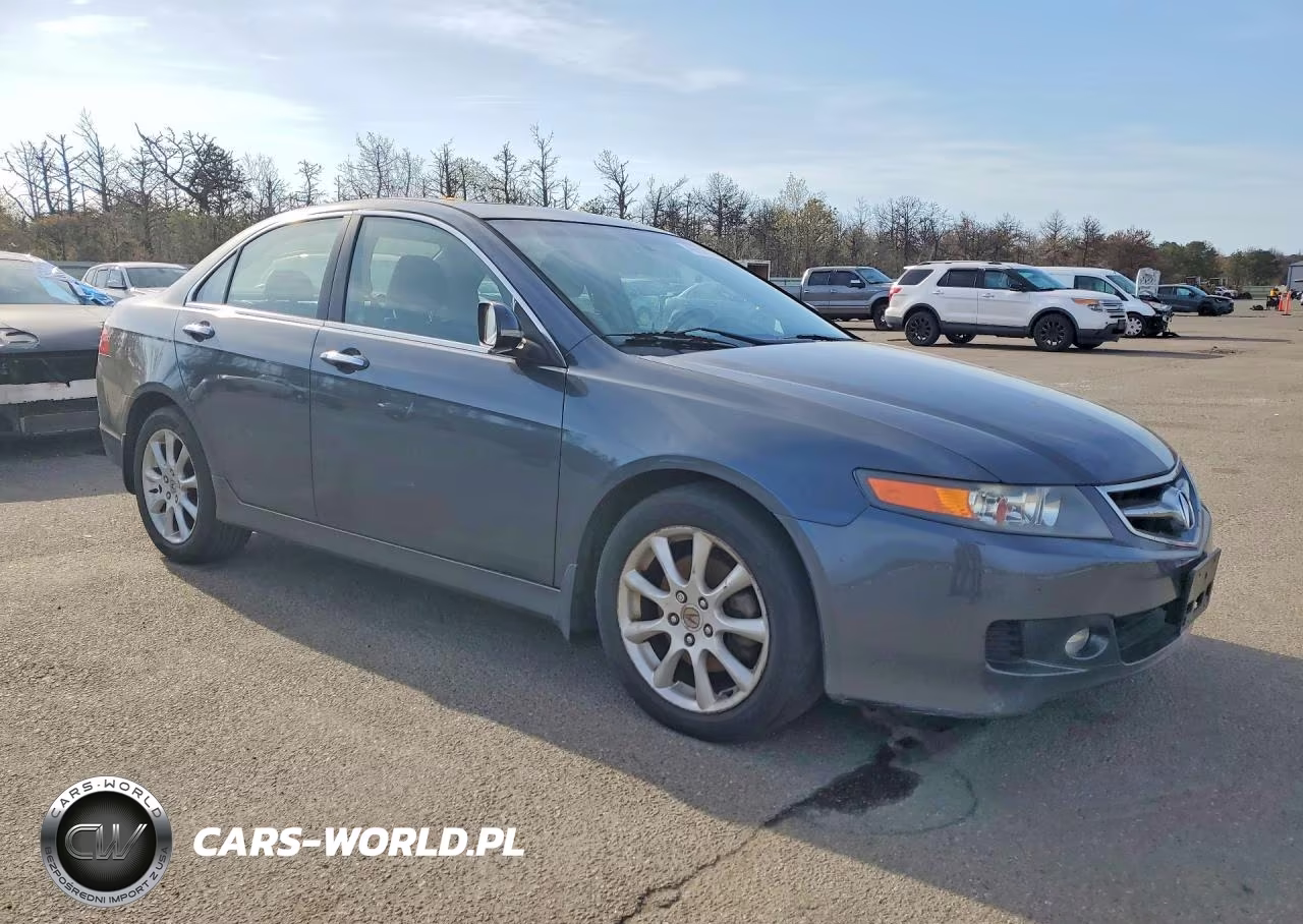 2006 Acur Tsx VIN:JH4CL96846C011093 - 7
