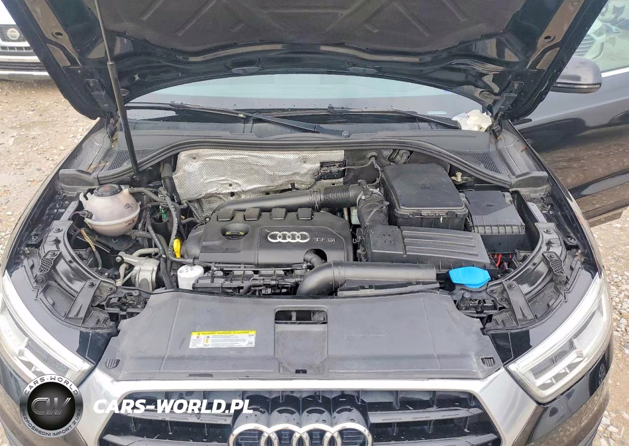 2016 Audi Q3 Prestige VIN:WA1GFCFS6GR005839 - 12