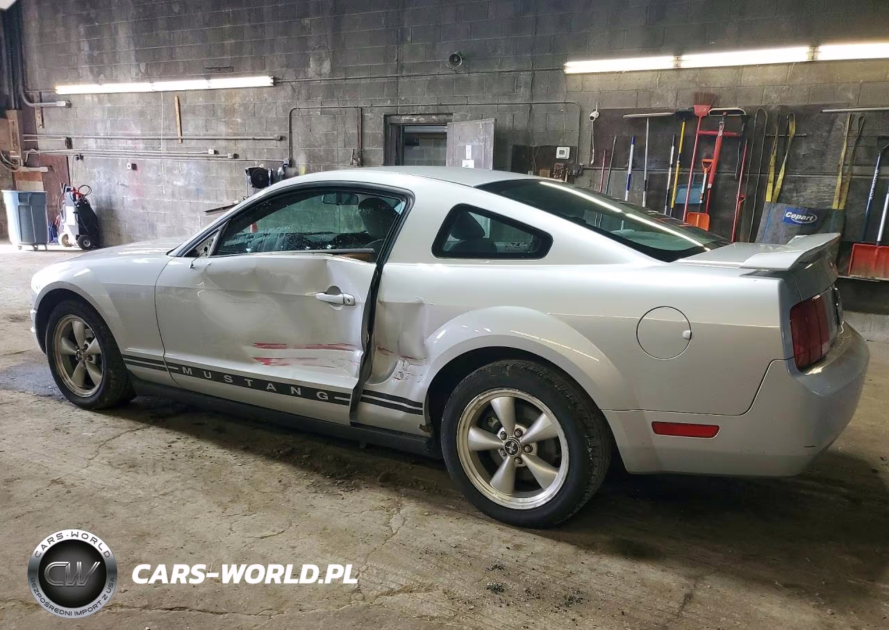 2005 Ford Mustang VIN:1ZVFT80N455151538 - 2