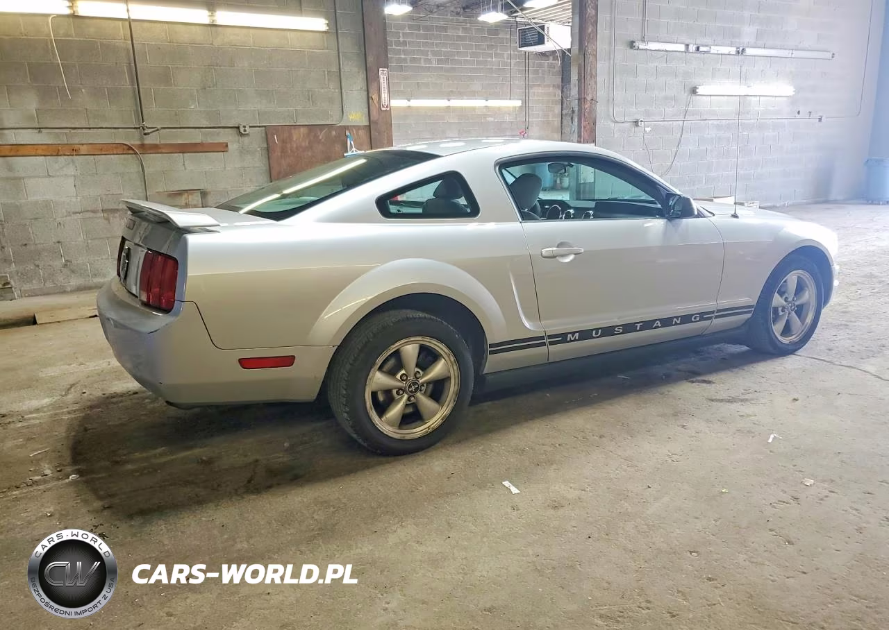 2005 Ford Mustang VIN:1ZVFT80N455151538 - 3