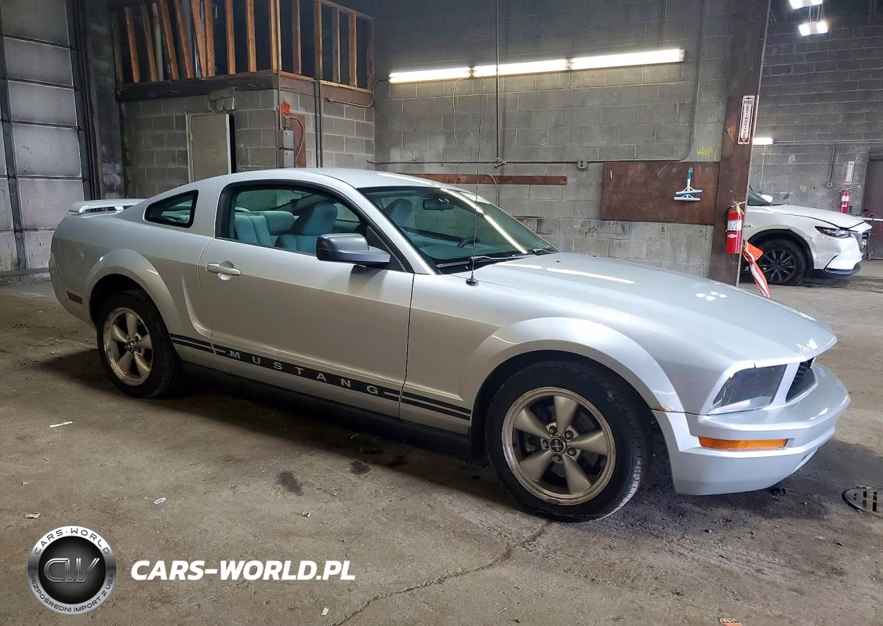 2005 Ford Mustang VIN:1ZVFT80N455151538 - 4