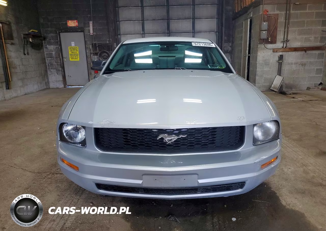 2005 Ford Mustang VIN:1ZVFT80N455151538 - 5