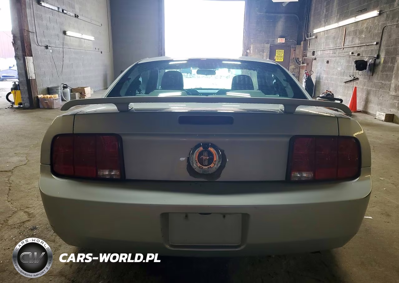 2005 Ford Mustang VIN:1ZVFT80N455151538 - 6