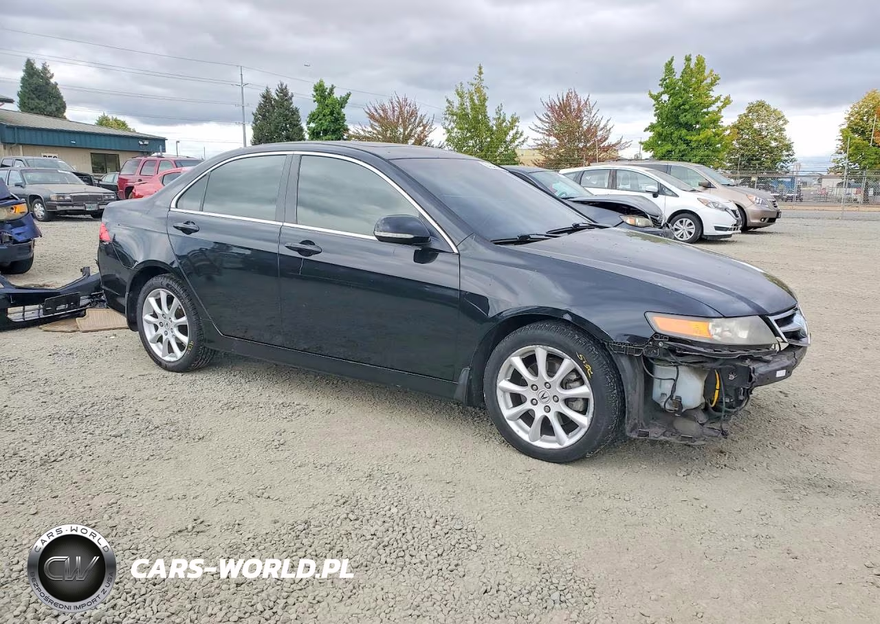 2006 Acura Tsx VIN:JH4CL96866C031829 - 4