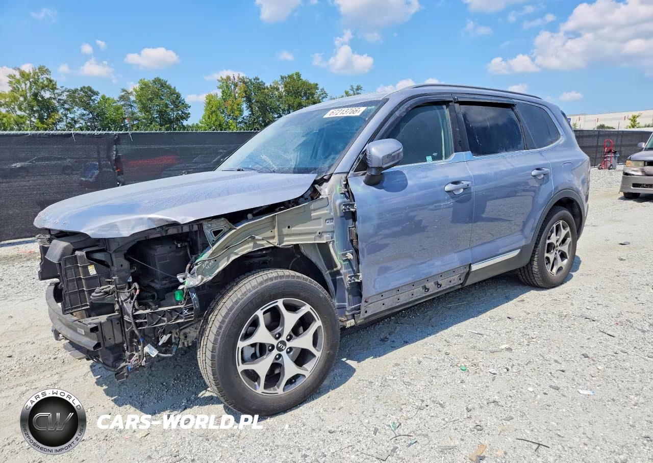 2020 Kia Telluride Ex VIN:5XYP3DHC4LG002411 - 1