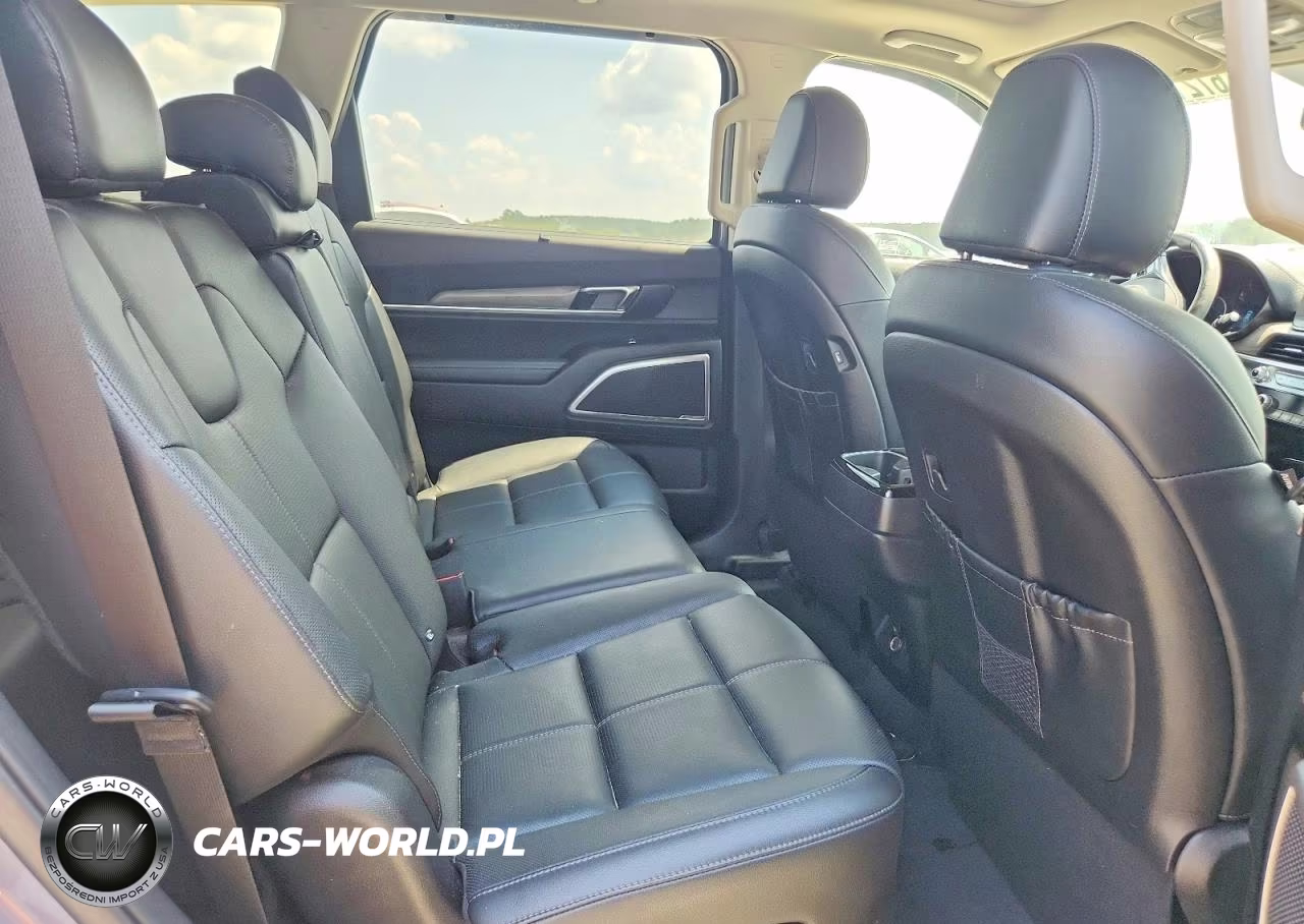 2020 Kia Telluride Ex VIN:5XYP3DHC4LG002411 - 11