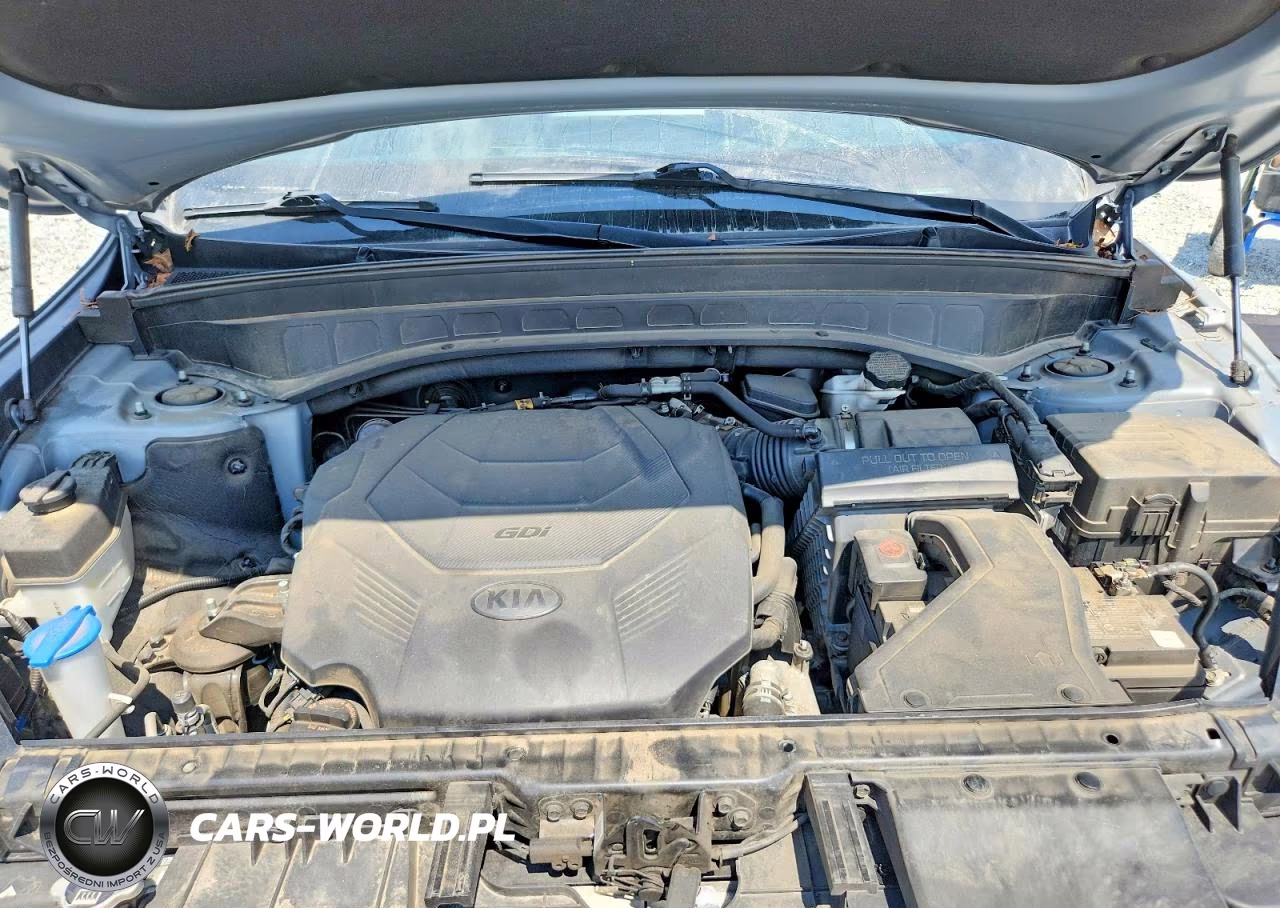 2020 Kia Telluride Ex VIN:5XYP3DHC4LG002411 - 12