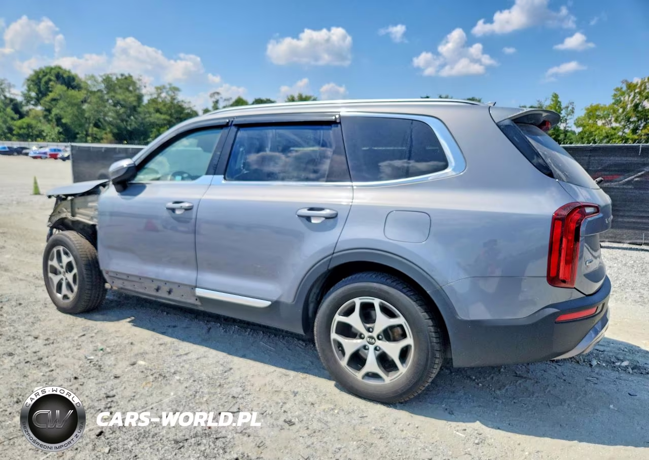 2020 Kia Telluride Ex VIN:5XYP3DHC4LG002411 - 2