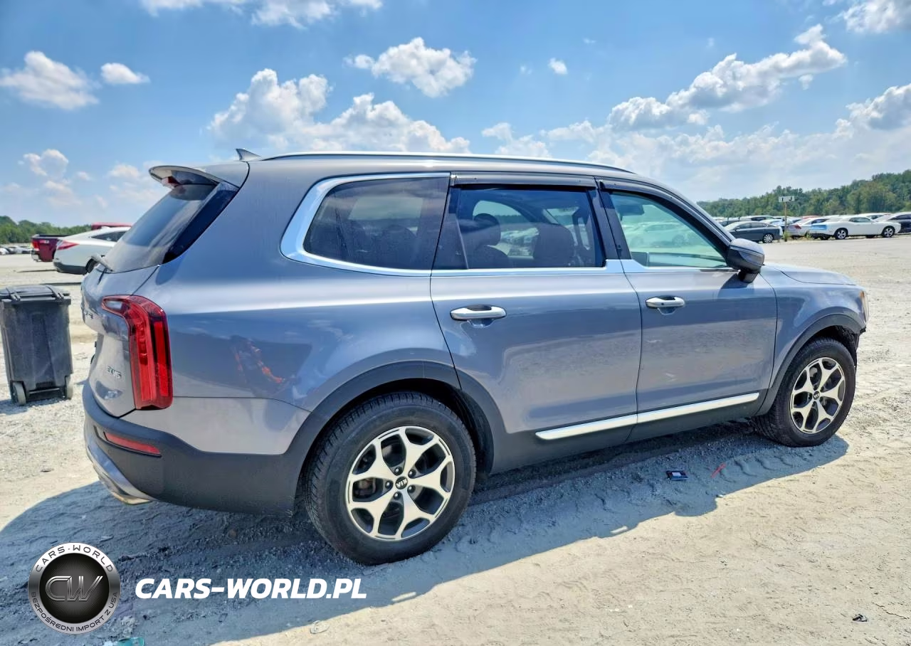2020 Kia Telluride Ex VIN:5XYP3DHC4LG002411 - 3