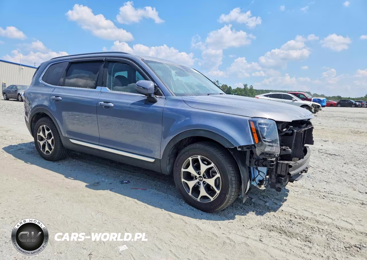 2020 Kia Telluride Ex VIN:5XYP3DHC4LG002411 - 4