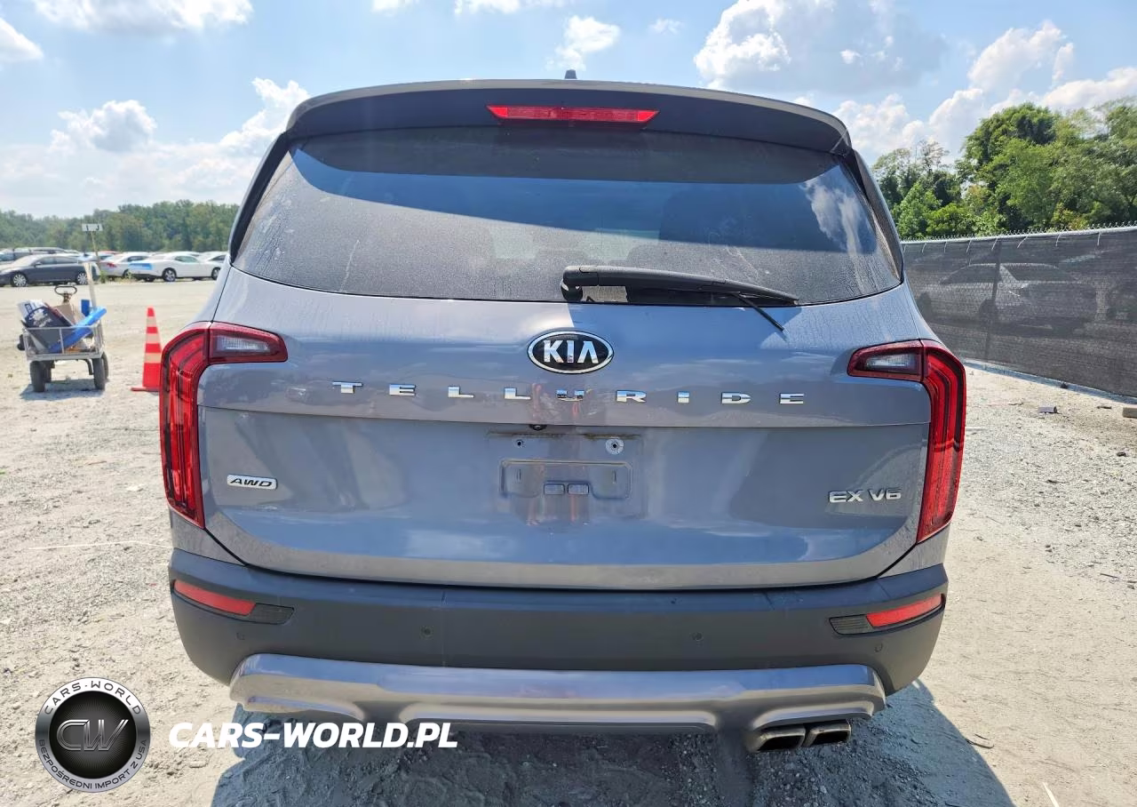 2020 Kia Telluride Ex VIN:5XYP3DHC4LG002411 - 6