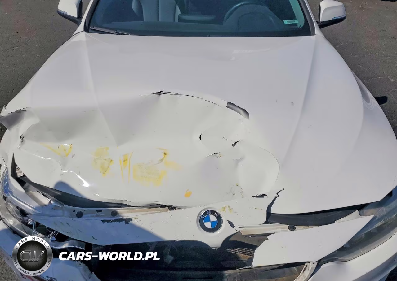 2014 BMW 428 I VIN:WBA3N7C54EF719977 - 11