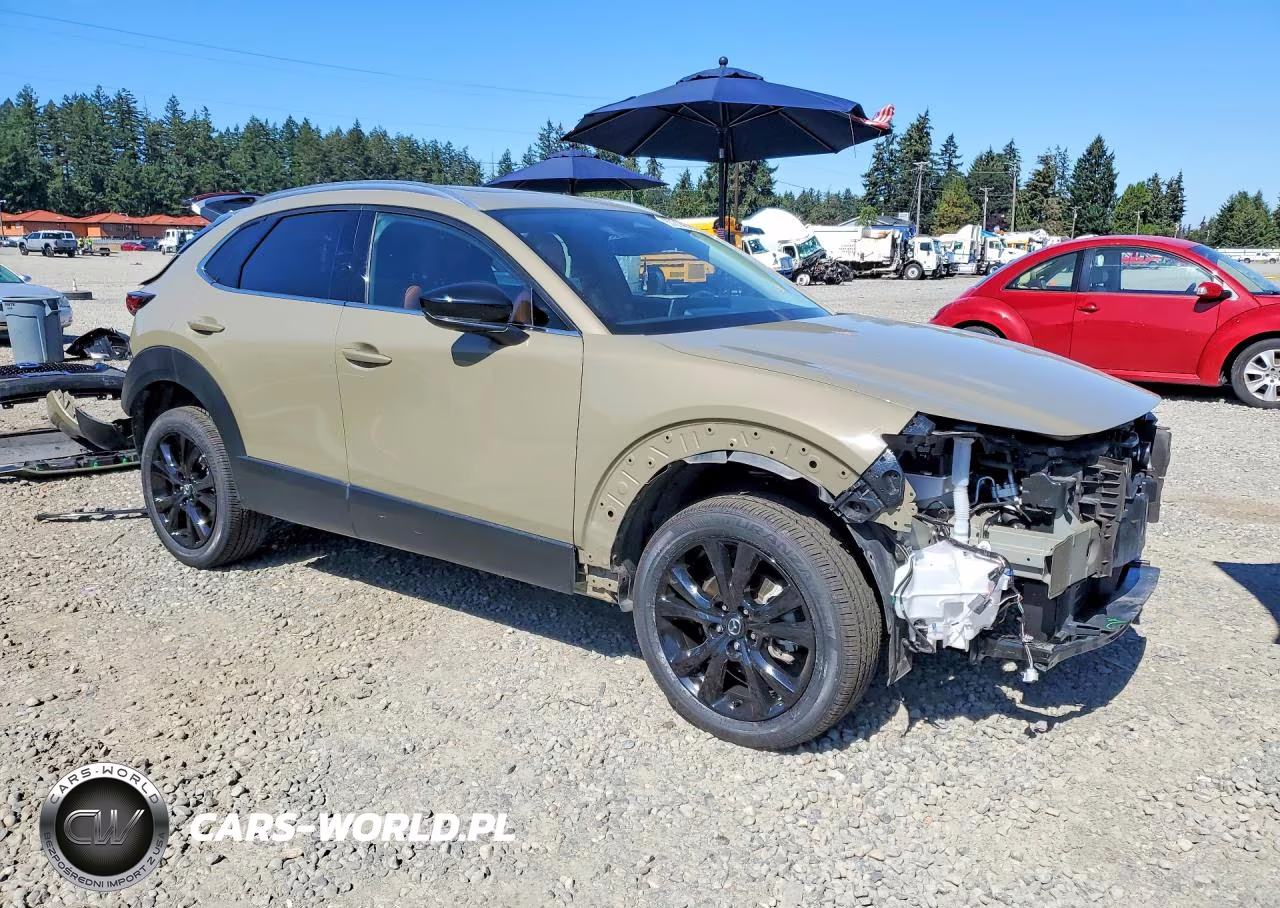 2024 Mazda Cx-30 Carbon Turbo VIN:3MVDMBXY1RM668007 - 4