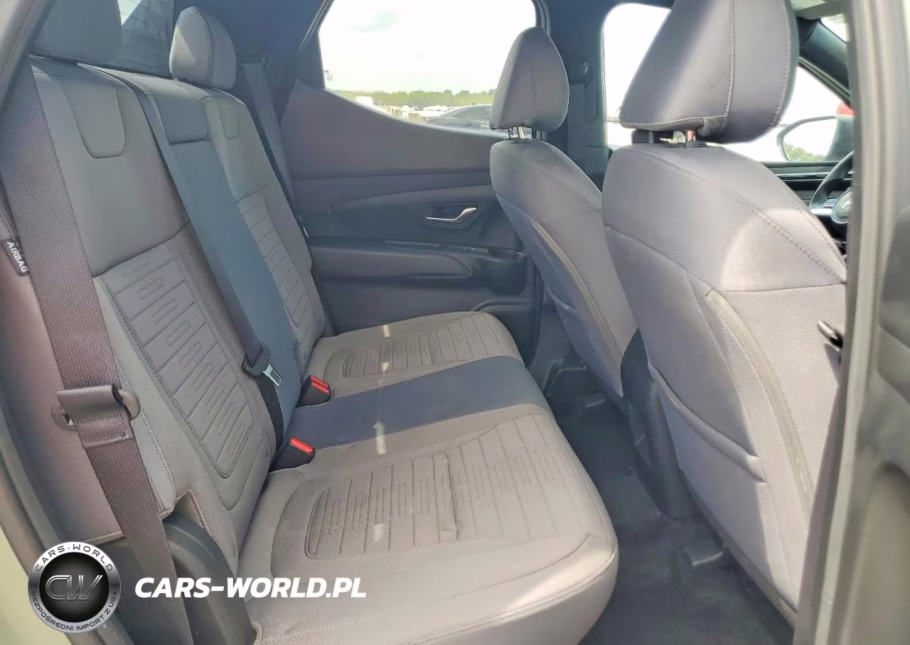2024 Hyundai Santa Cruz Sel VIN:5NTJB4DEXRH113984 - 10
