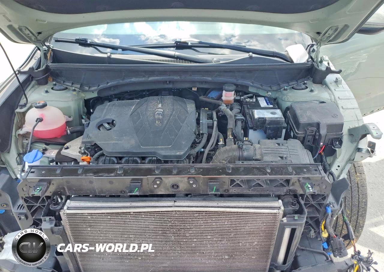 2024 Hyundai Santa Cruz Sel VIN:5NTJB4DEXRH113984 - 11