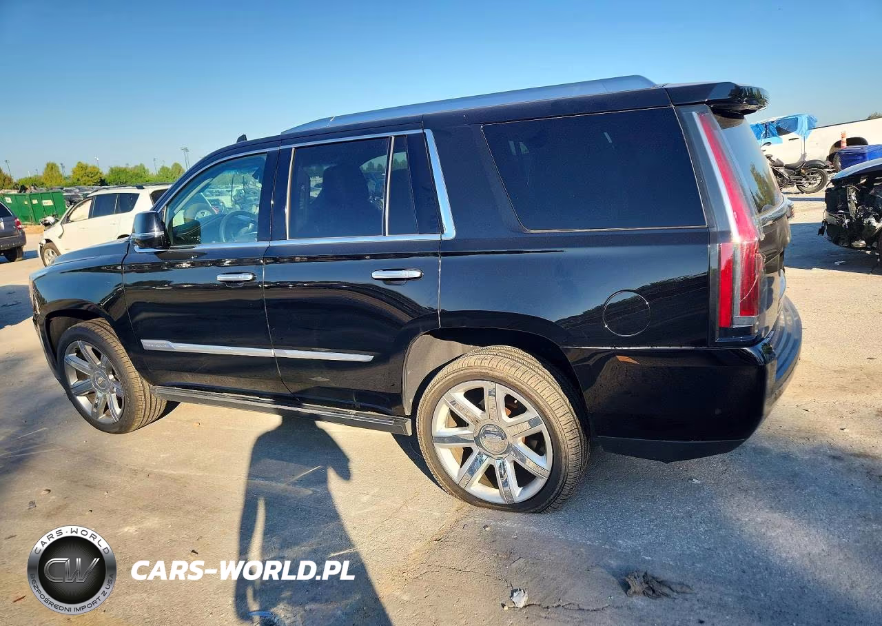 2020 Cadillac Escalade Premium Luxury VIN:1GYS4CKJ6LR223576 - 2