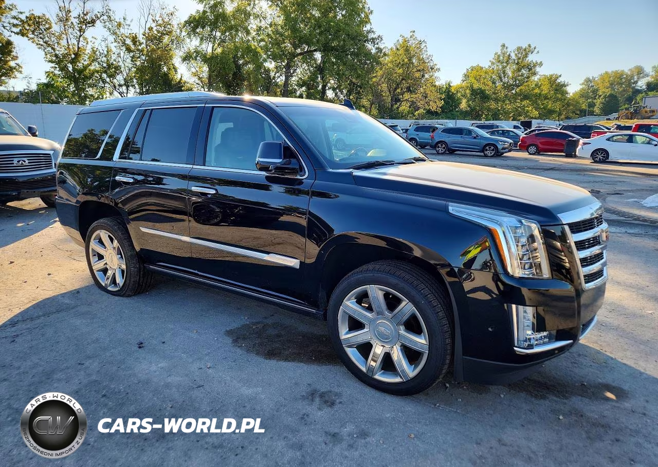 2020 Cadillac Escalade Premium Luxury VIN:1GYS4CKJ6LR223576 - 4