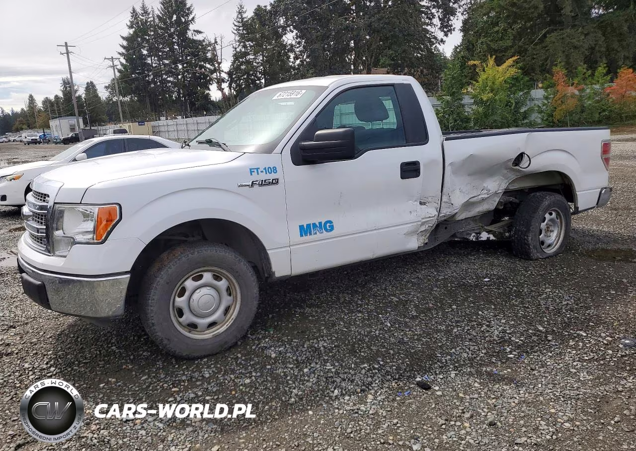 2013 Ford F150 – zdjęcie 1 z 12
