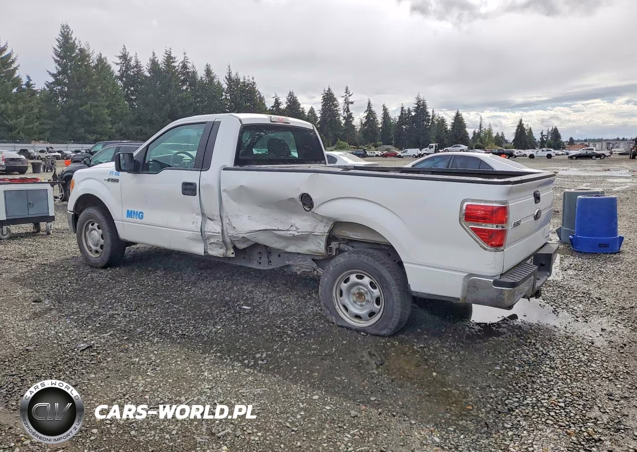 2013 Ford F150 VIN:1FTNF1CF2DKE06995 - 2