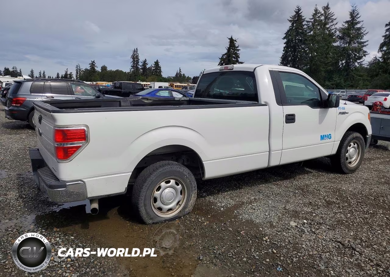 2013 Ford F150 VIN:1FTNF1CF2DKE06995 - 3