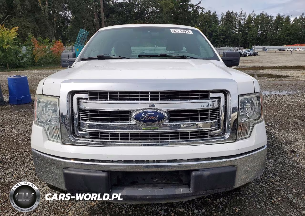 2013 Ford F150 VIN:1FTNF1CF2DKE06995 - 5