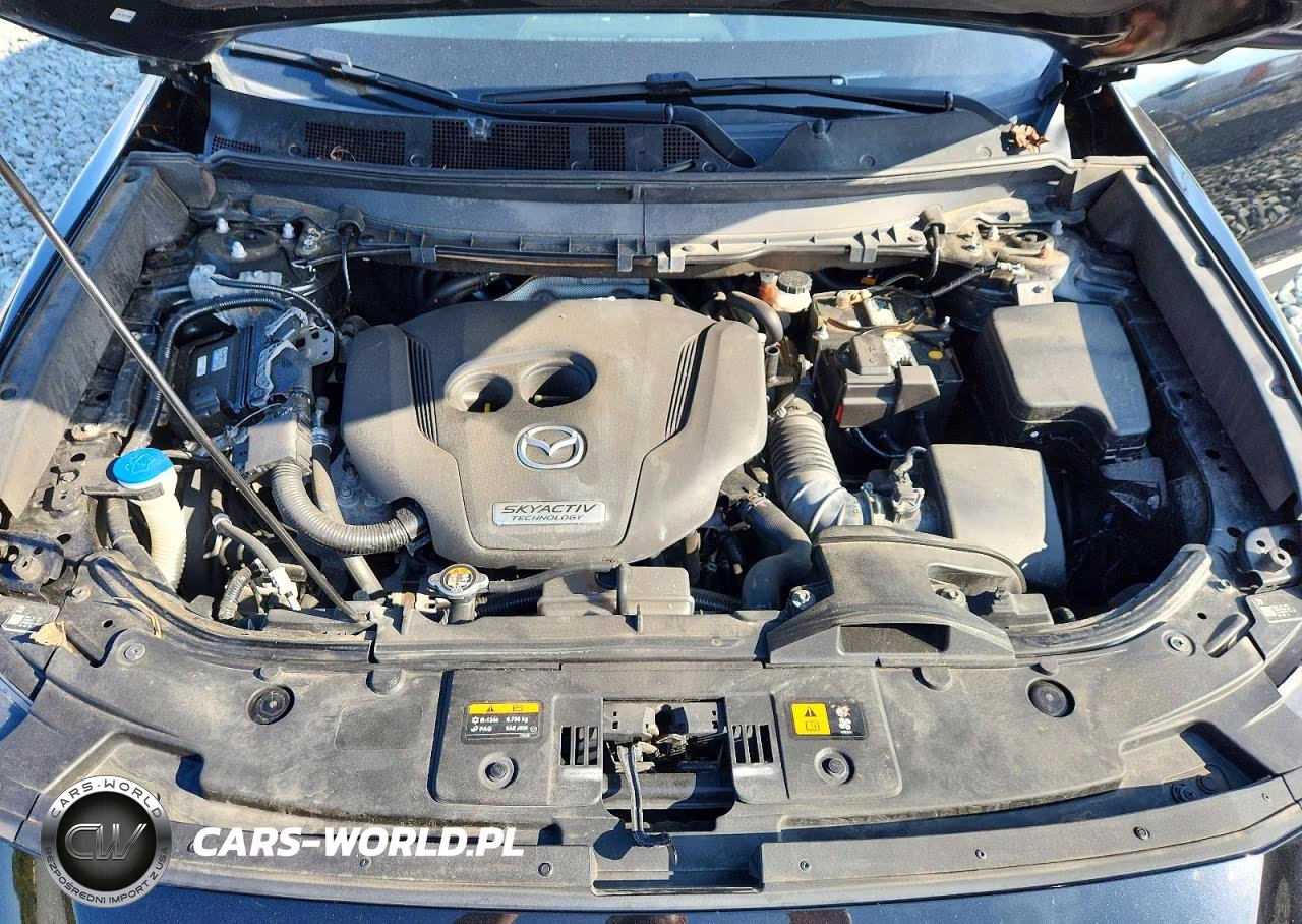 2019 Mazda Cx9 VIN:JM3TCBCY5K0302976 - 12