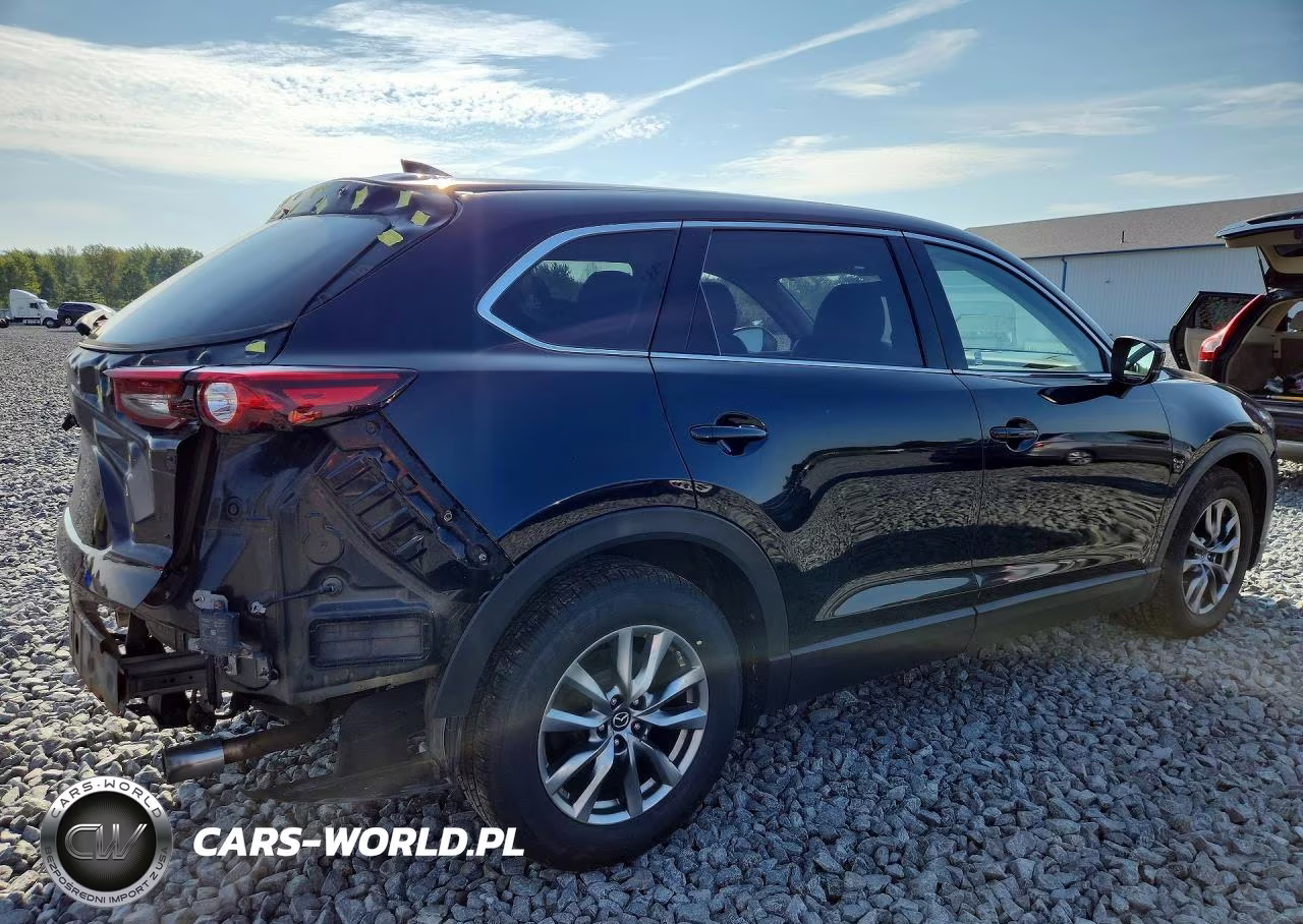 2019 Mazda Cx9 VIN:JM3TCBCY5K0302976 - 3