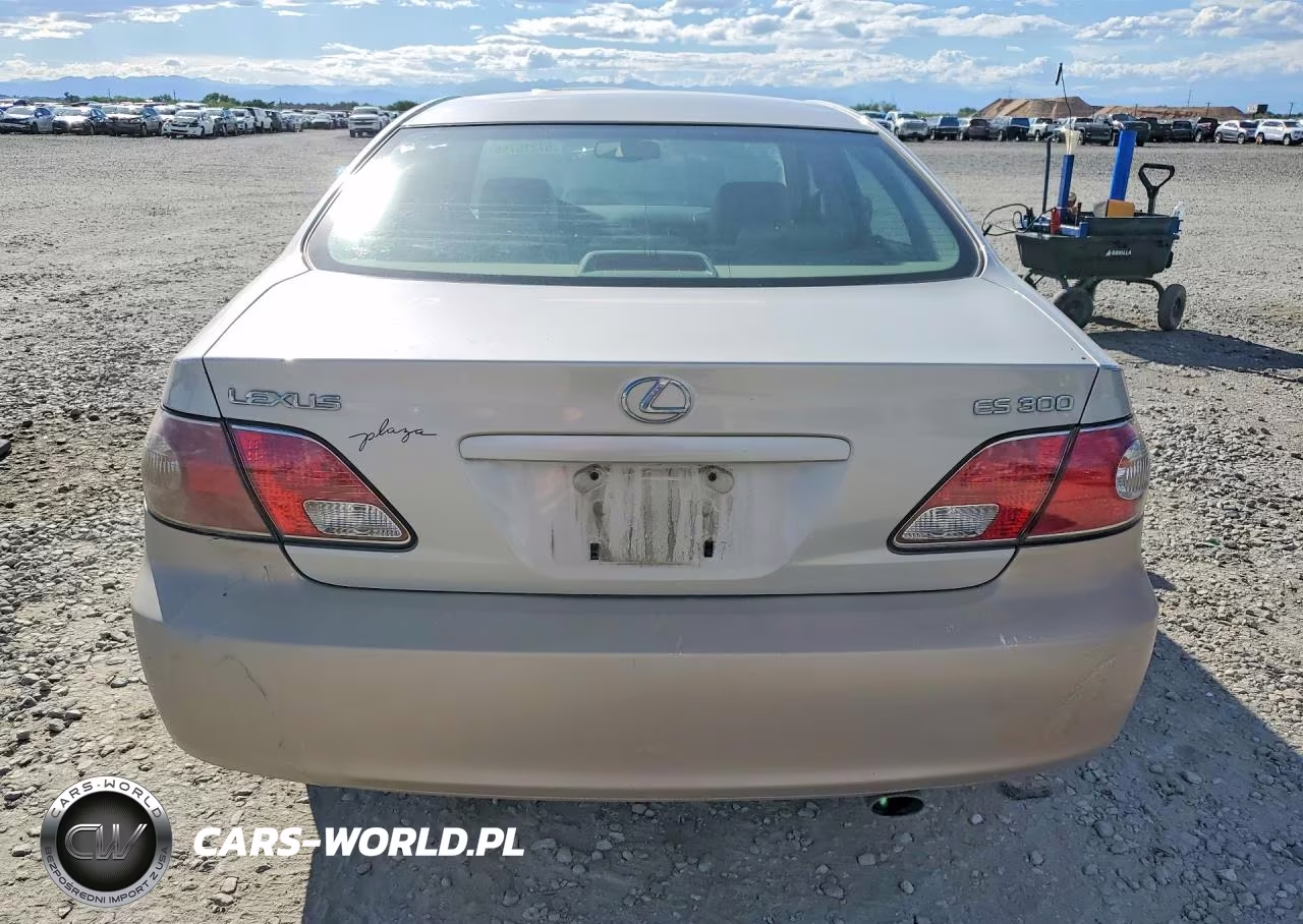 2003 Lexus Es 300 VIN:JTHBF30G330134056 - 6