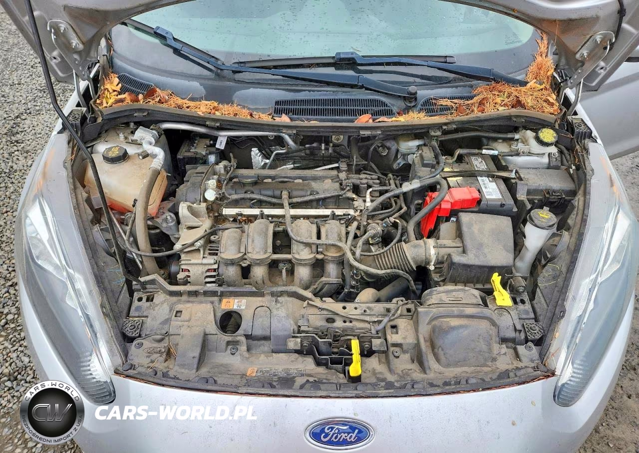 2019 Ford Fiesta Se VIN:3FADP4EJ3KM118622 - 11