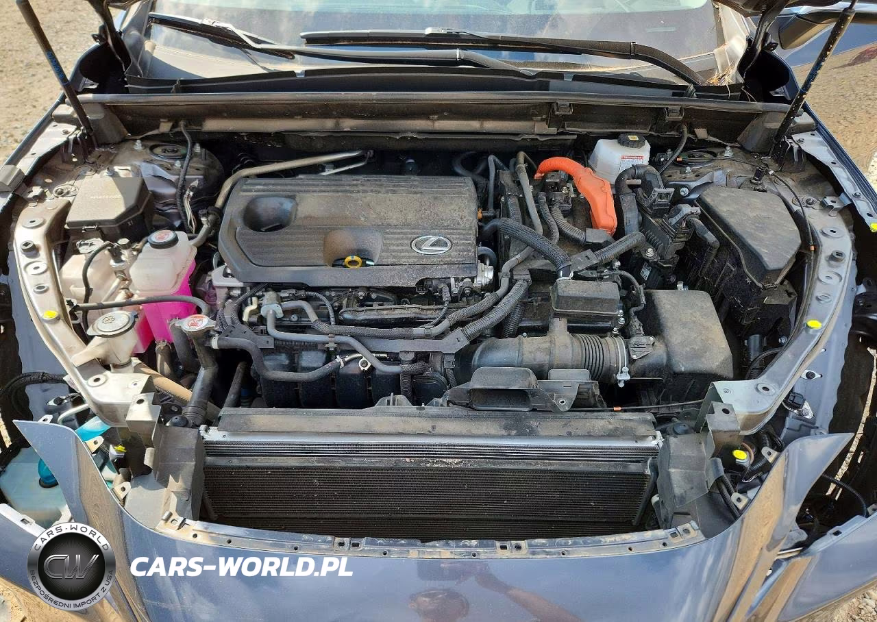 2024 Lexus Nx 350H Premium VIN:JTJGKCEZ9R5022349 - 12