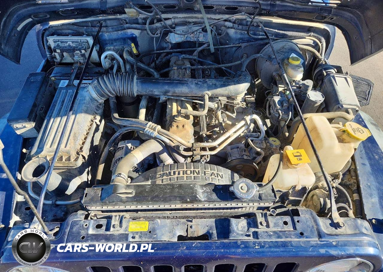 2000 Jeep Wrangler - Tj Sport VIN:1J4FA49S4YP804320 - 11