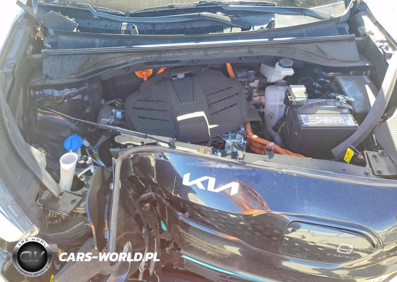 2022 Kia Niro Ev Ex VIN:KNDCC3LG9N5138824 - 12