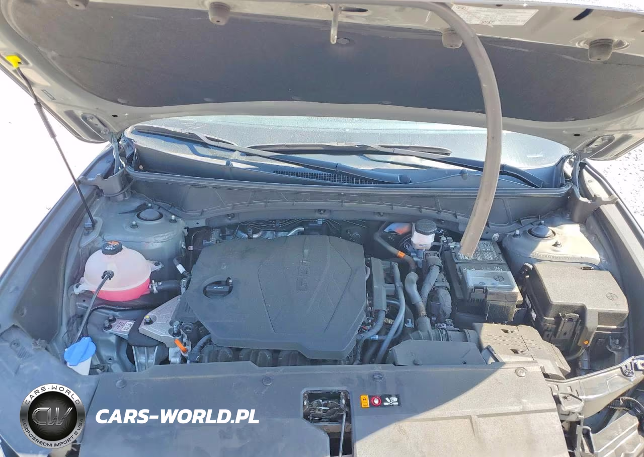 2024 Hyundai Tucson Sel VIN:5NMJFCDE5RH407576 - 12