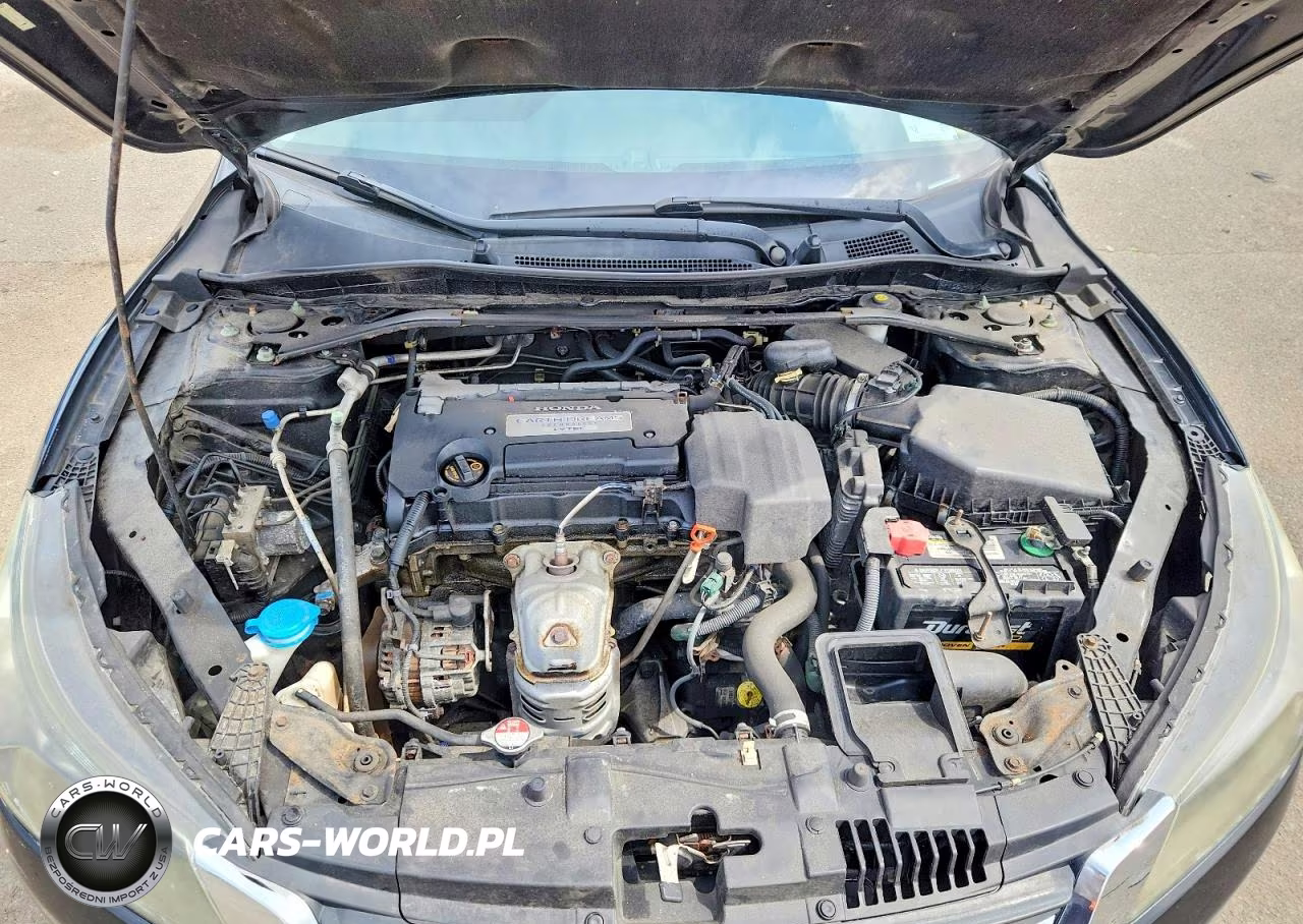 2013 Honda Accord Exl VIN:1HGCR2F84DA263119 - 11