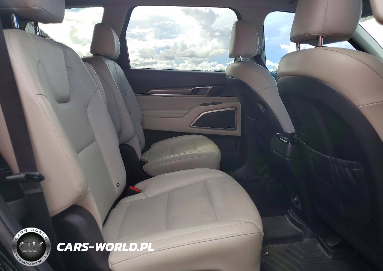 2020 Kia Telluride S VIN:5XYP64HC1LG036331 - 10