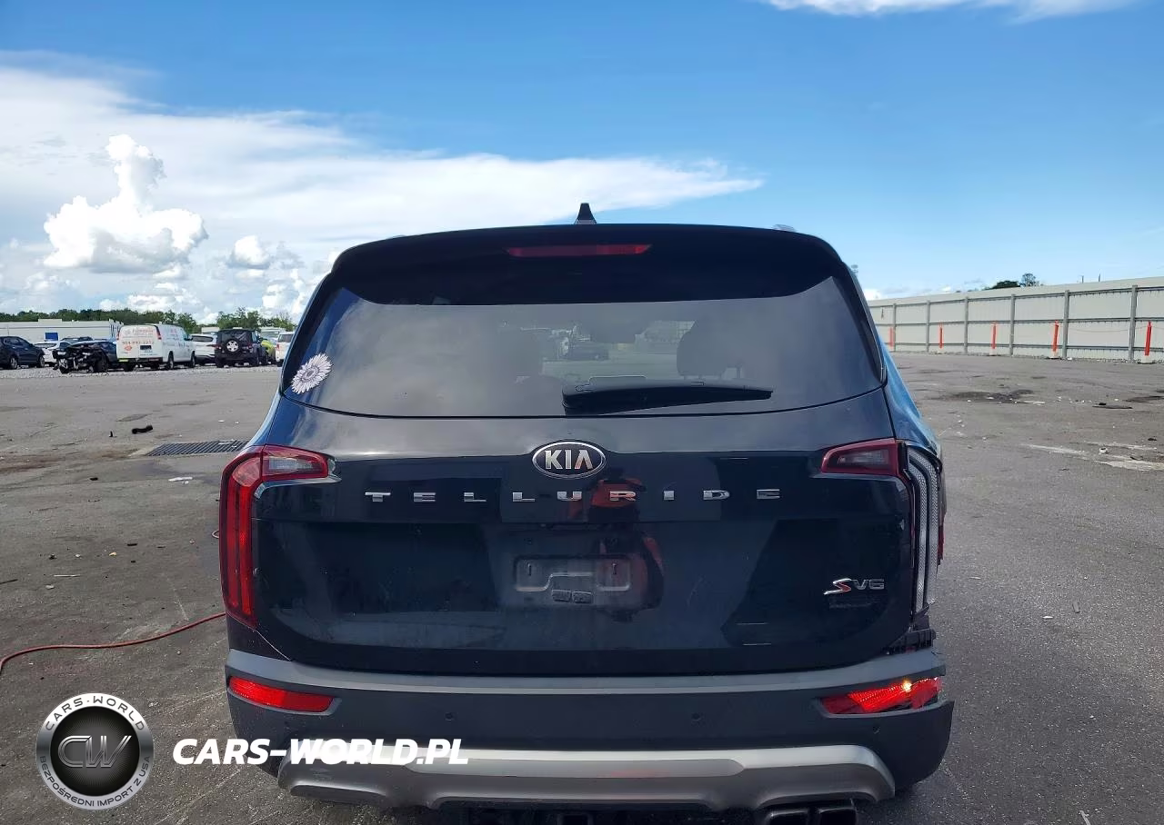 2020 Kia Telluride S VIN:5XYP64HC1LG036331 - 6