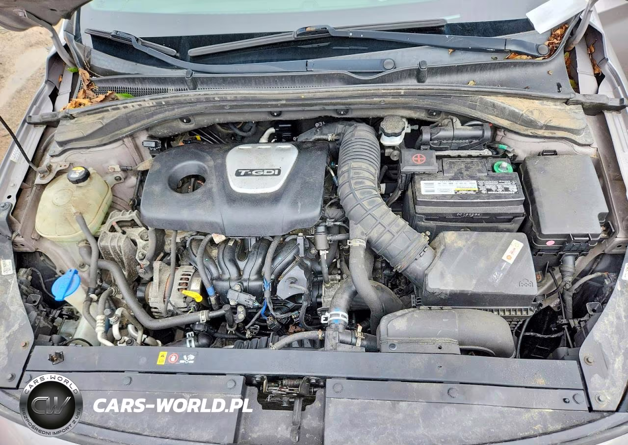 2020 Hyundai Elantra Gt N Line VIN:KMHH55LC0LU123409 - 12