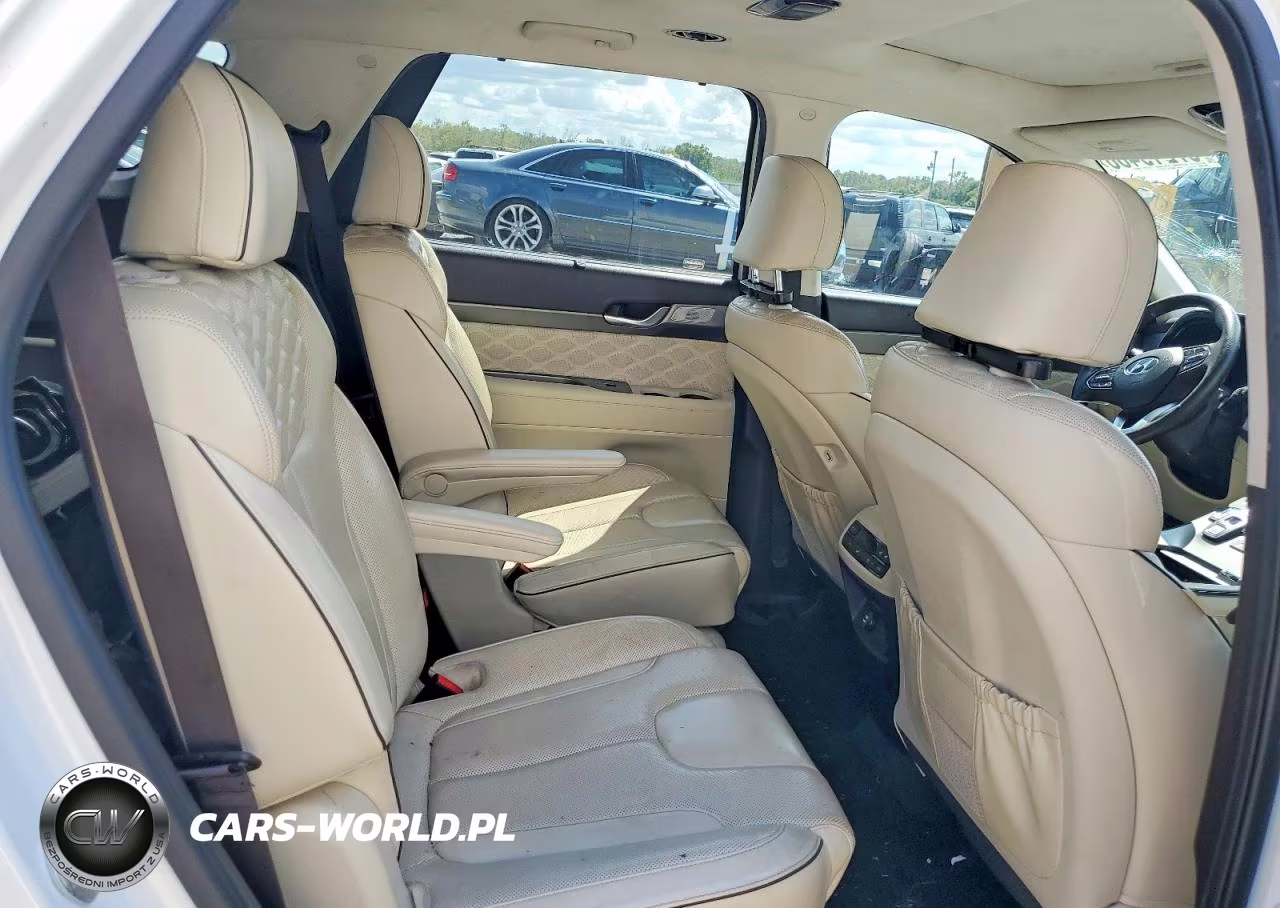2020 Hyundai Palisade Limited VIN:KM8R54HE8LU134358 - 10