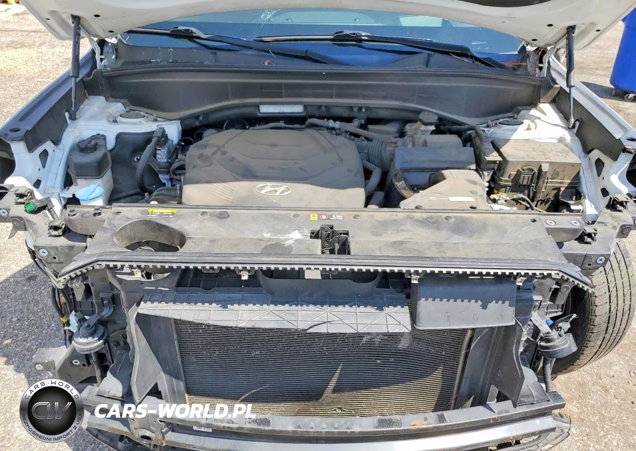 2020 Hyundai Palisade Limited VIN:KM8R54HE8LU134358 - 11