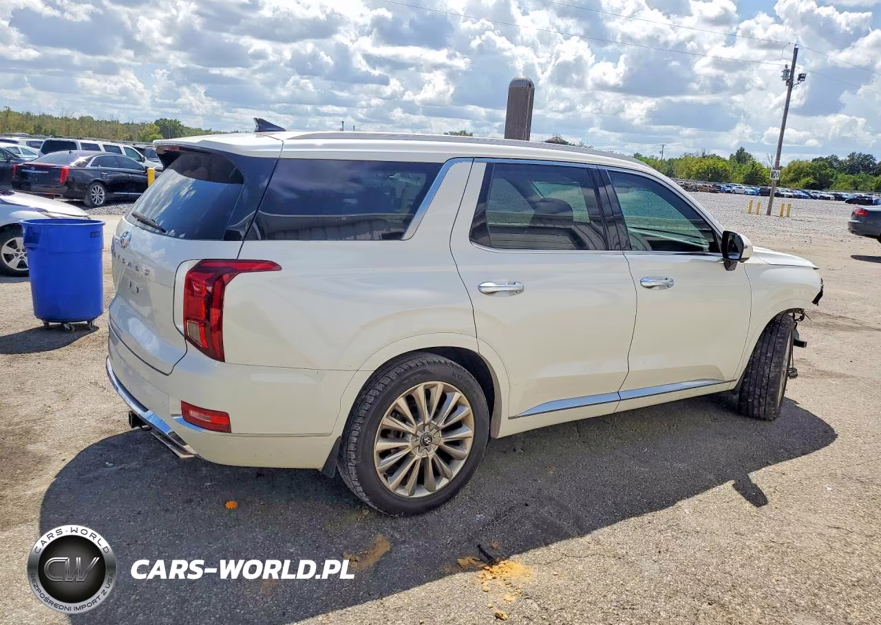 2020 Hyundai Palisade Limited VIN:KM8R54HE8LU134358 - 3